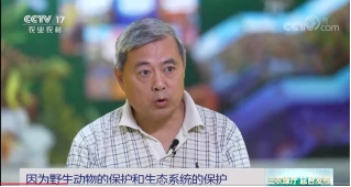 ylzz线路检测